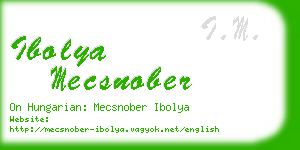 ibolya mecsnober business card